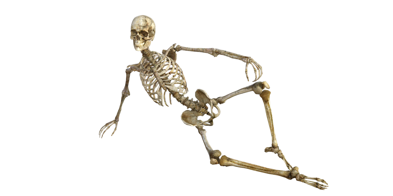 Skelett sitzt am Boden